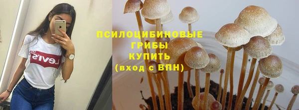 кокс Алексин
