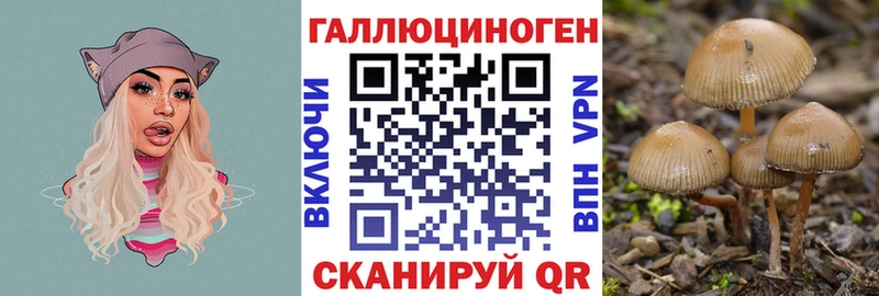 Псилоцибиновые грибы ЛСД  Макушино 